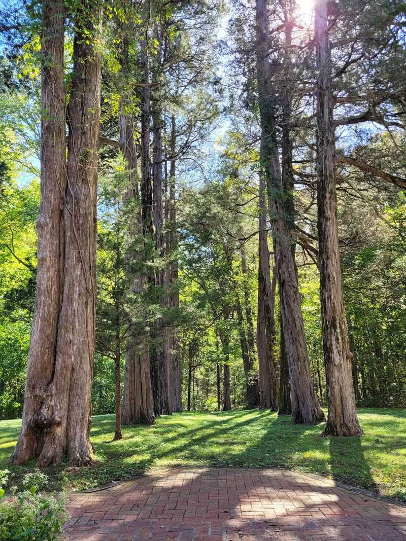 Strawberry Plains Audubon Center - Holly Springs