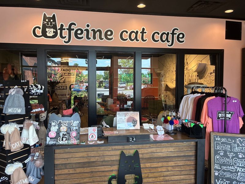 Coffee, Cookies And A Self-Serve Snack Bar