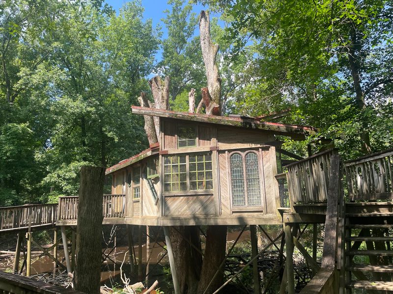 The Treehouse Kids Refuse To Leave