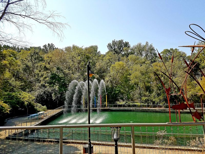 Where Birdwatchers And Frog Choruses Collide