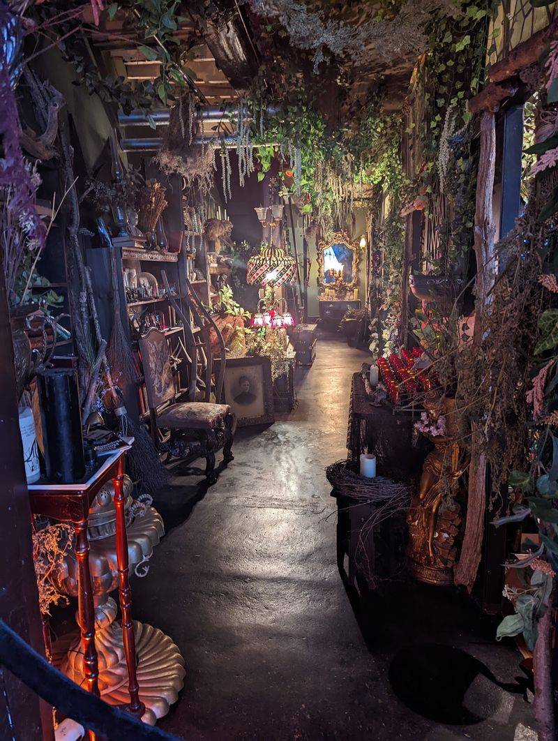 Curious Finds, Oddities, And Arcanum Mystery Boxes