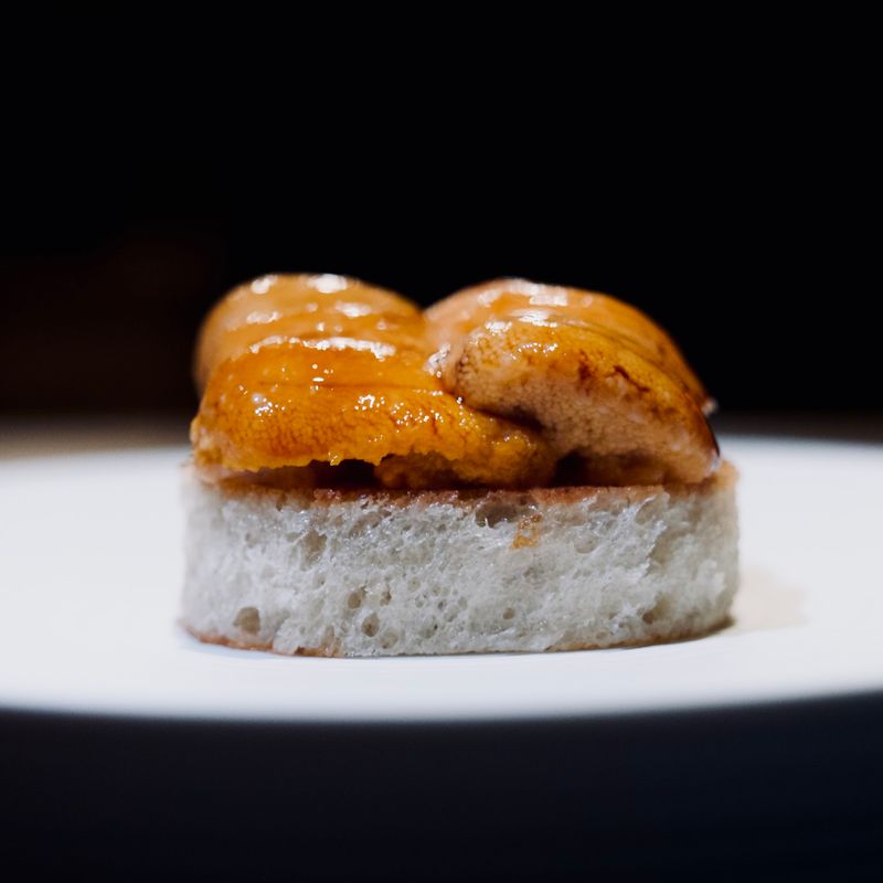Sea Urchin Toast Legend