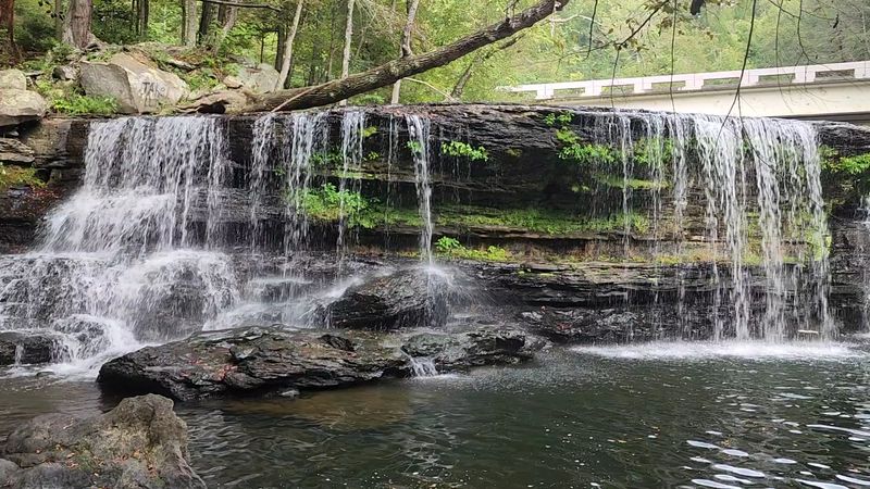 Crooked Fork Creek Sets The Soundtrack