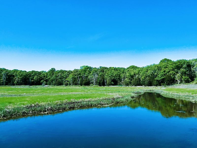 Preservation Efforts Of Coastal Ecosystems