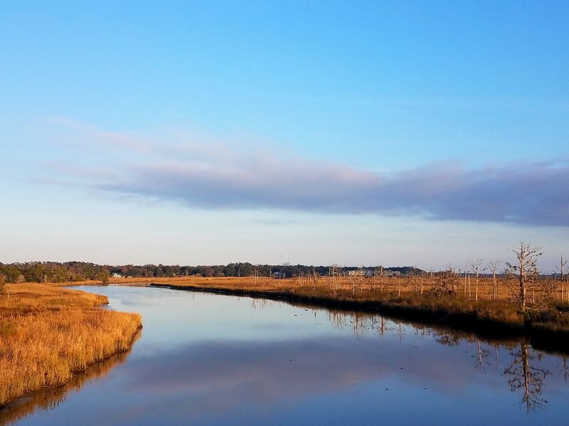 The Altamaha River Turned A Village Into A Great Port