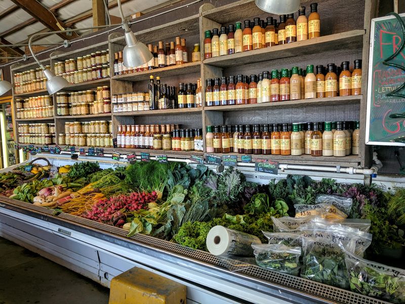 From Farm Fields To Your Table