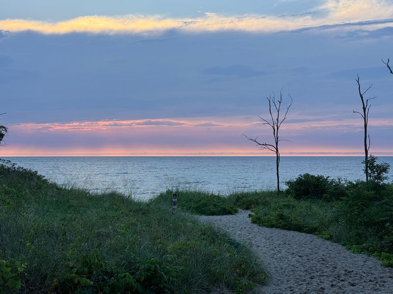 Birds, Blooms, And Beach Stones