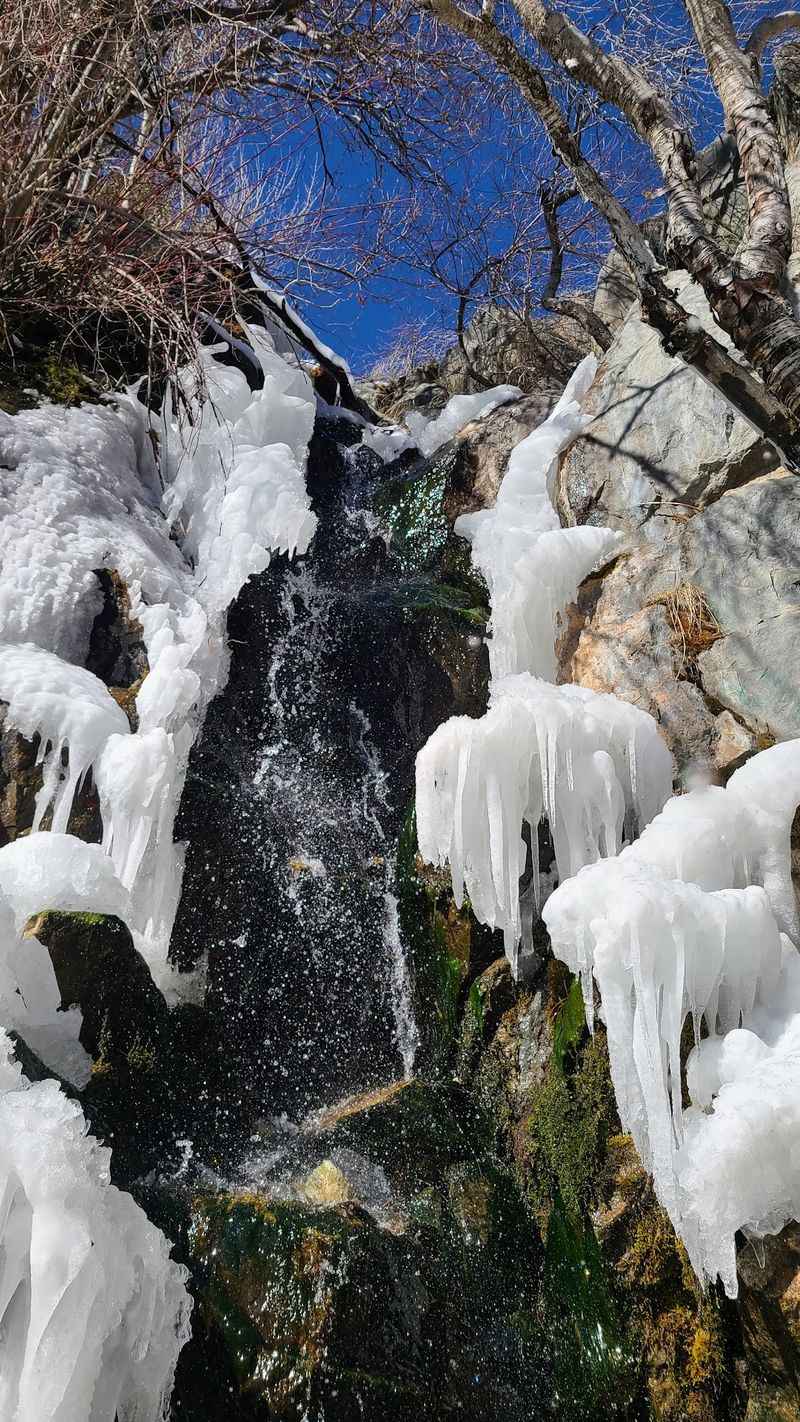 Four Seasons, Four Different Canyons