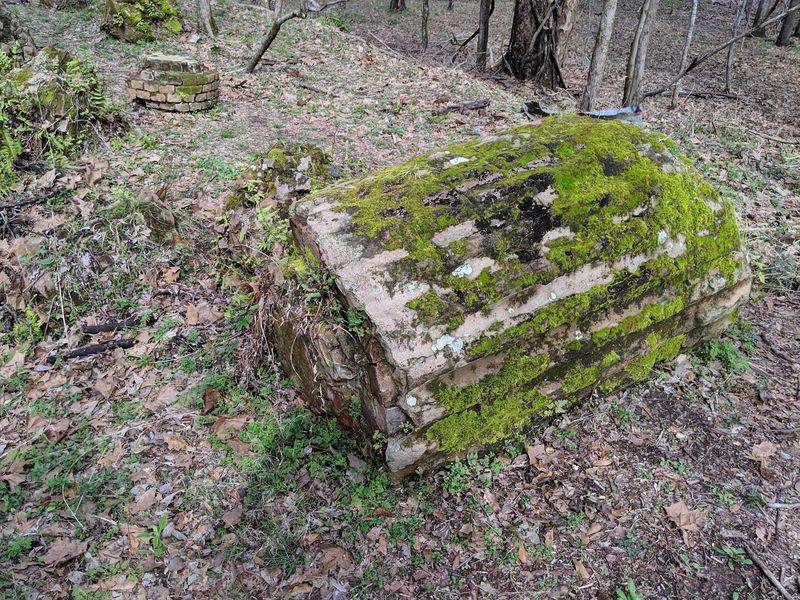Natural Surroundings And Wildlife