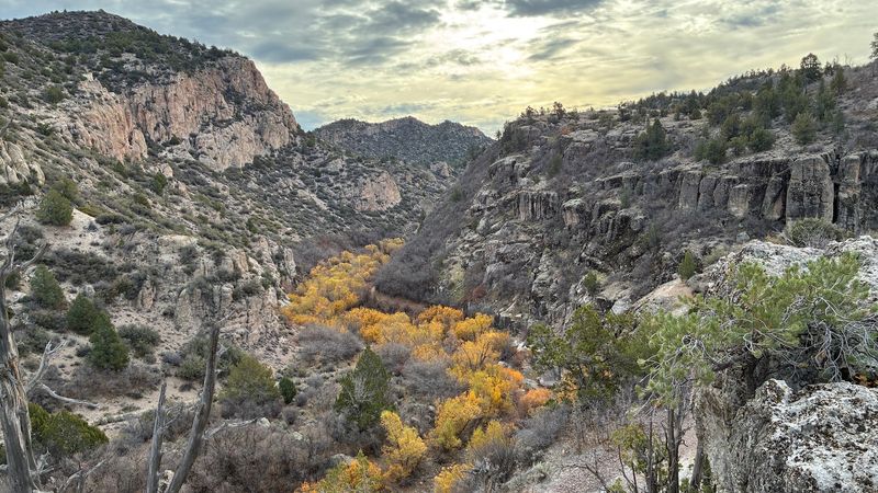 Pioneers, Wagons, And Carved Initials