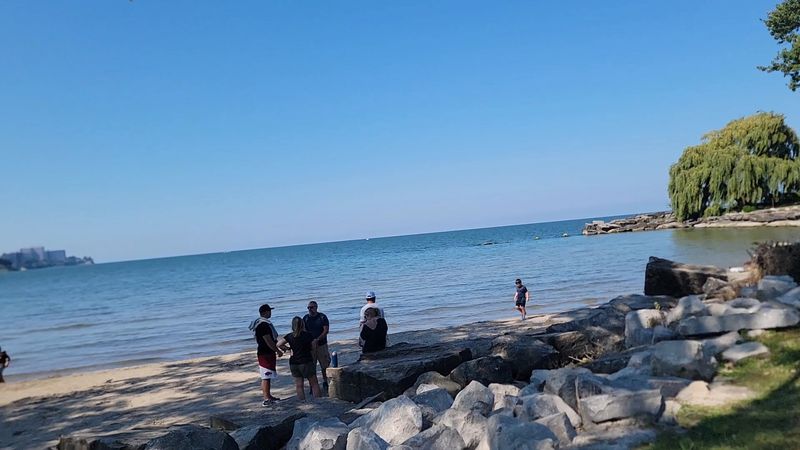 A Dog Beach Where Splashing Is Encouraged