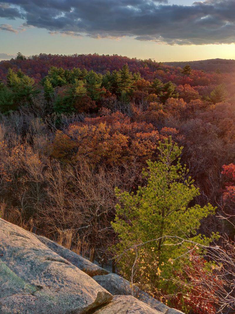 Blue Hills Reservation