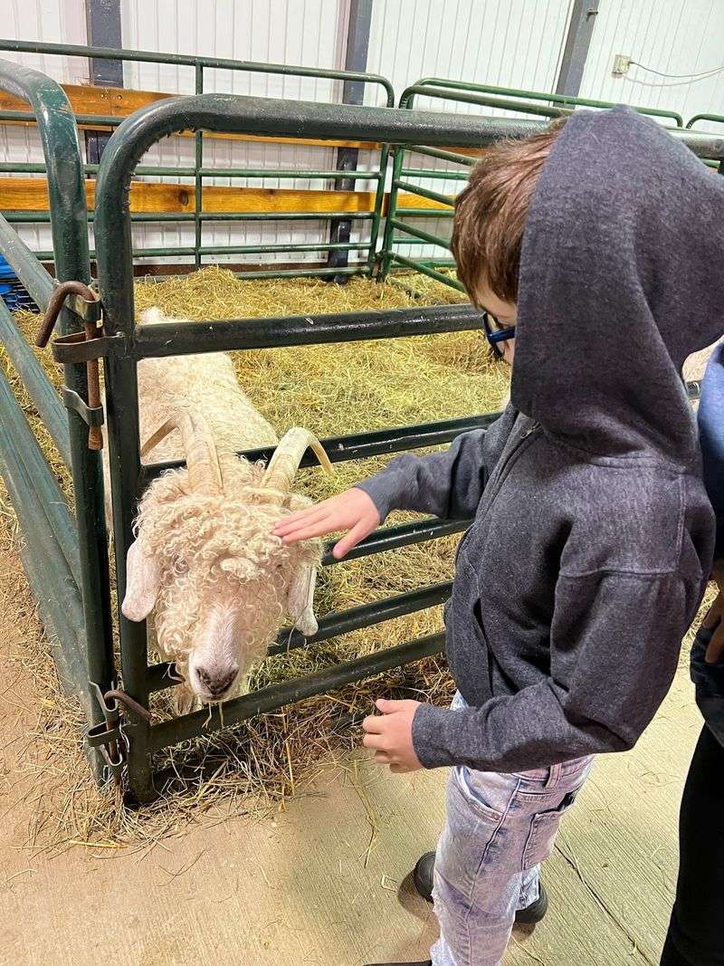 A Barnyard Roll Call