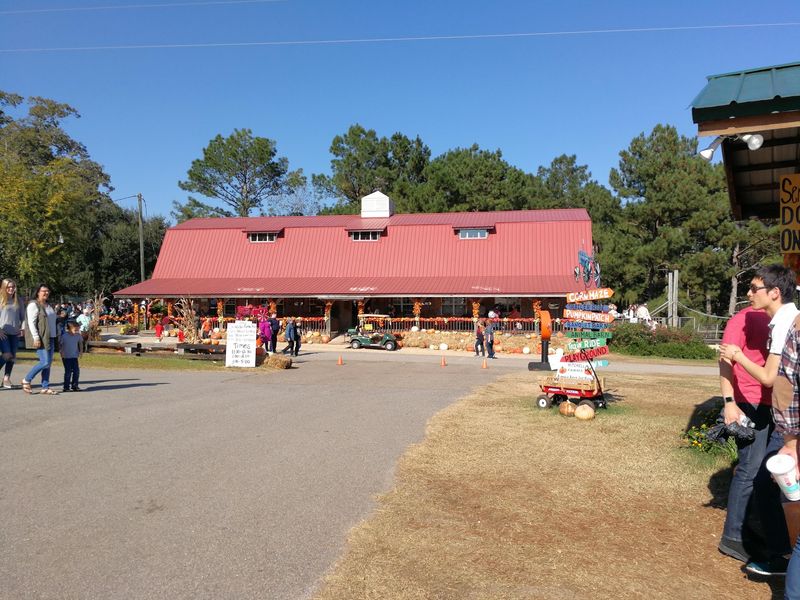 The Peanut Barn, Boiled Peanuts, And Blueberry Lemonade