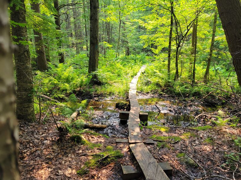 Clarksburg State Park