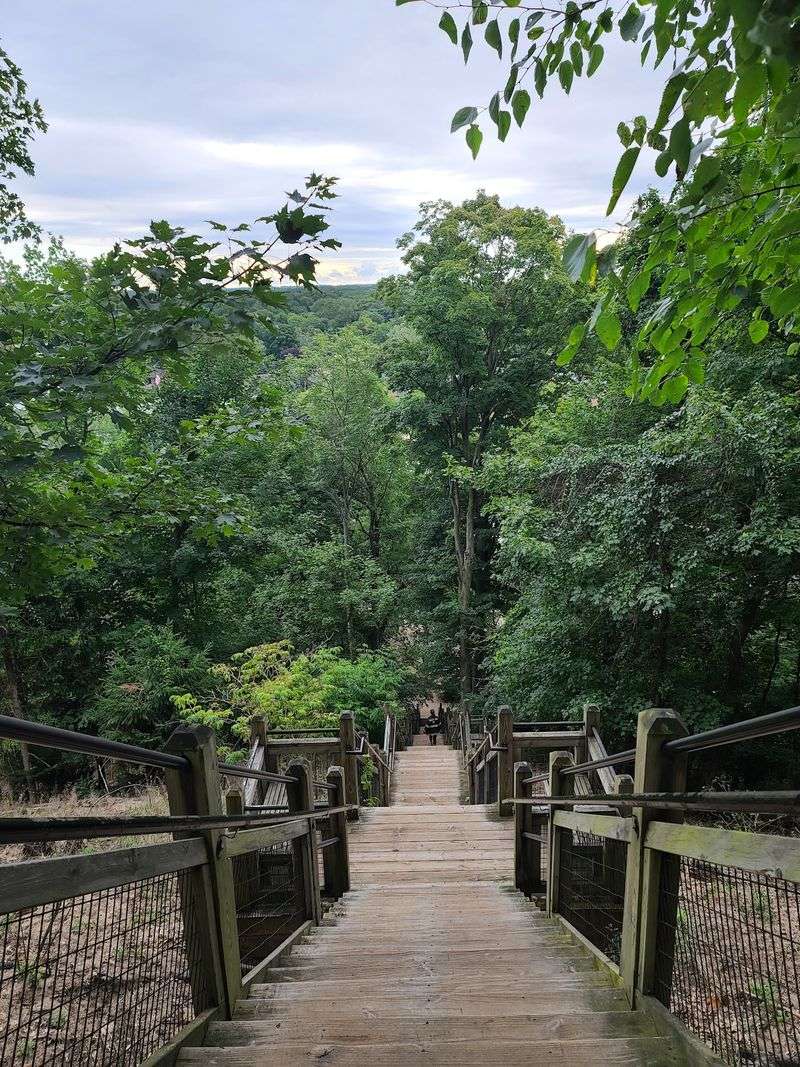 Climbing The Stairs Of Mount Baldhead