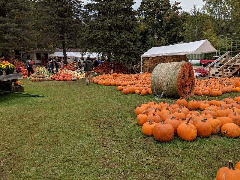 Hayrides That Roll Past The Fields