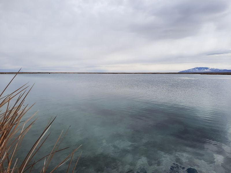 Crystal Water That Shows Off The Bottom
