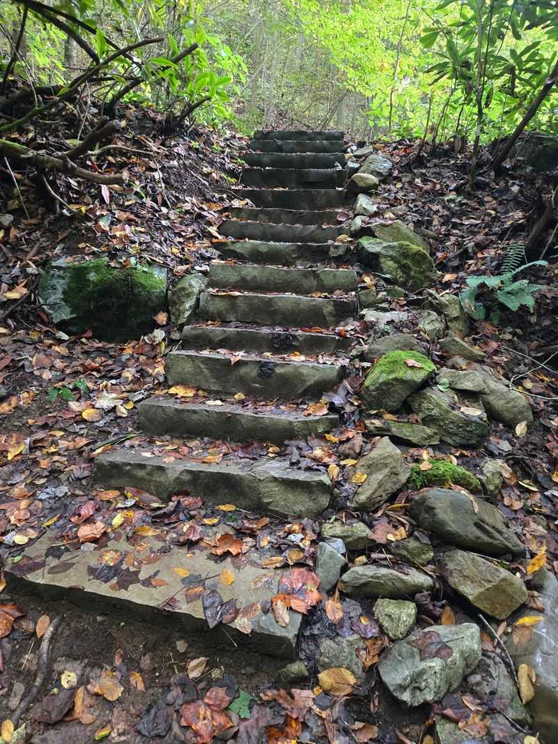 Lamar Alexander Rocky Fork State Park