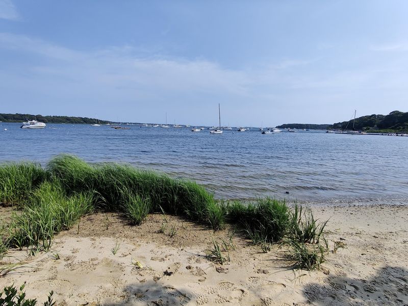 Ten Primitive Campsites, Nine For Families And One For A Crowd