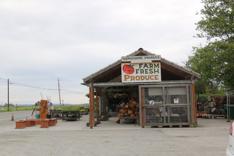 A Hearty Welcome To Fir Island