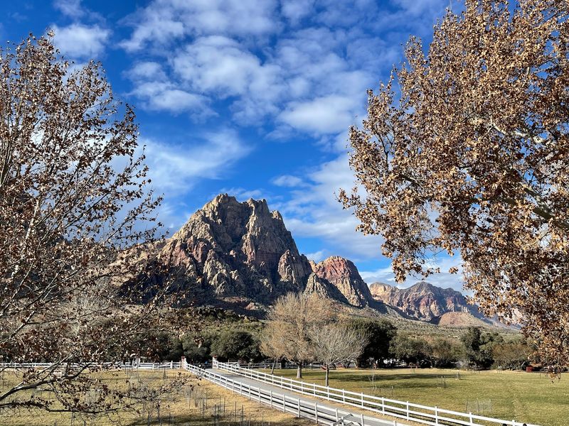 Spring Mountain Ranch State Park, Blue Diamond, NV