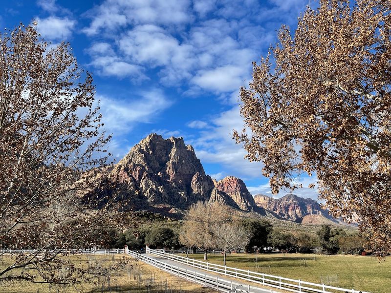 Spring Mountain Ranch State Park, Blue Diamond