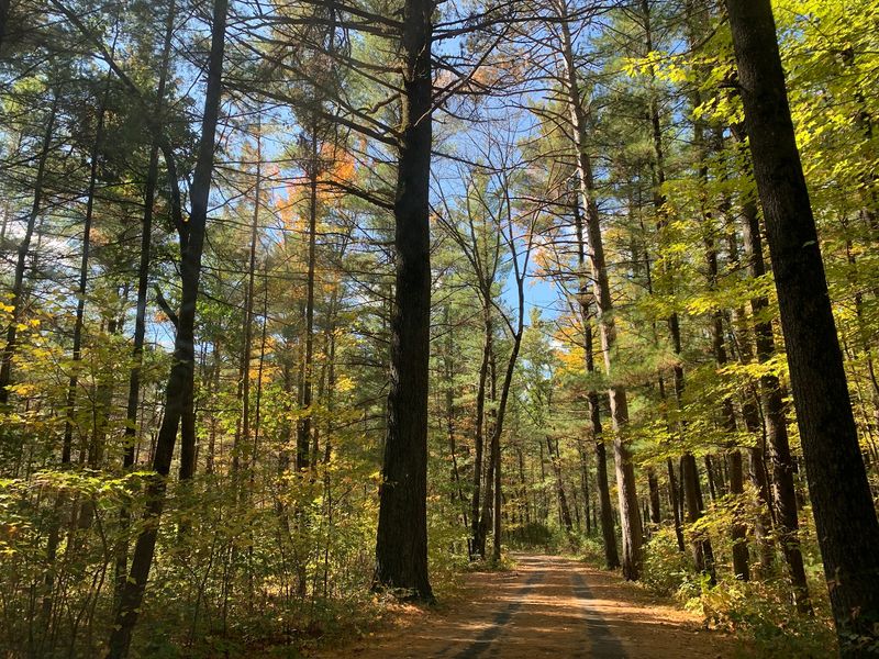 Trails Worth Hiking While You Wait For The Bugle