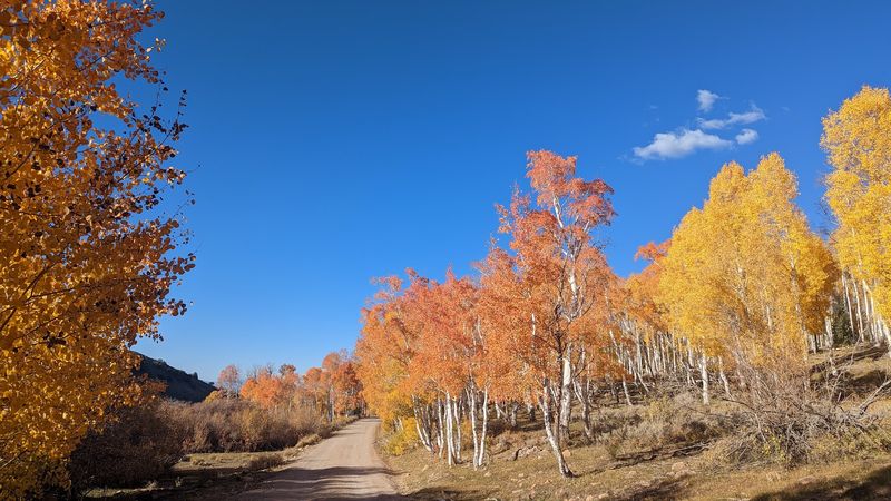 Success Loop, Nevada