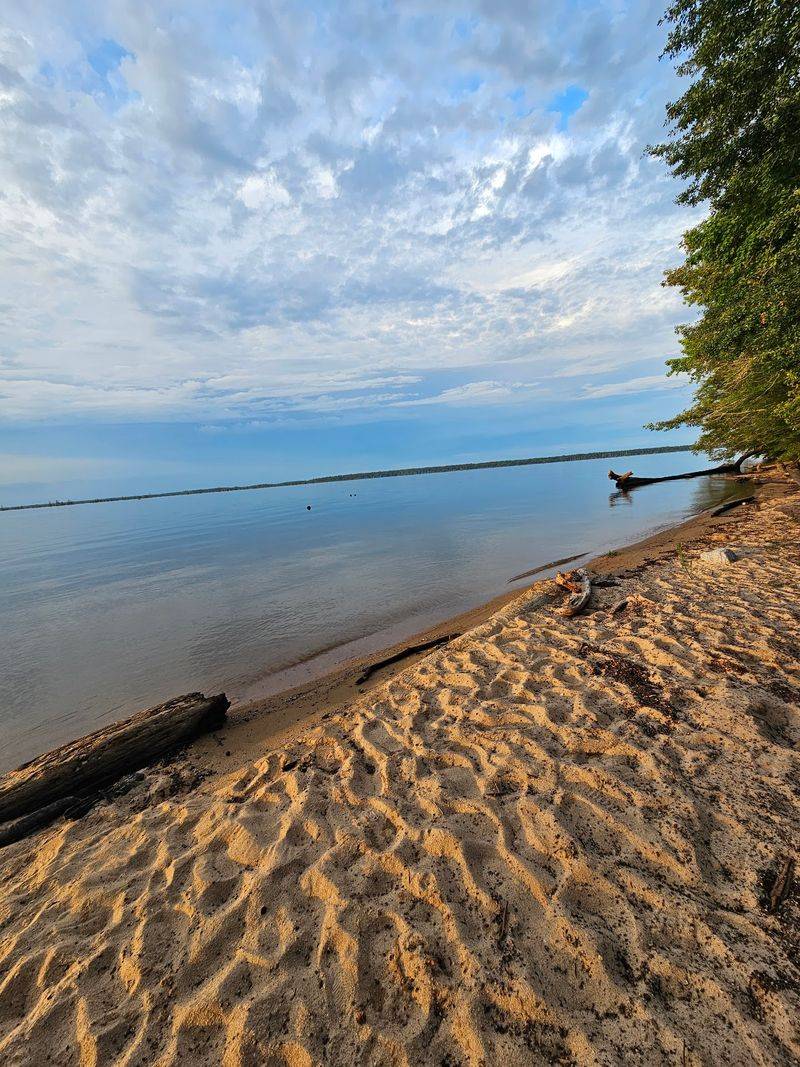 Cottonmouths And The Muddy Pockets
