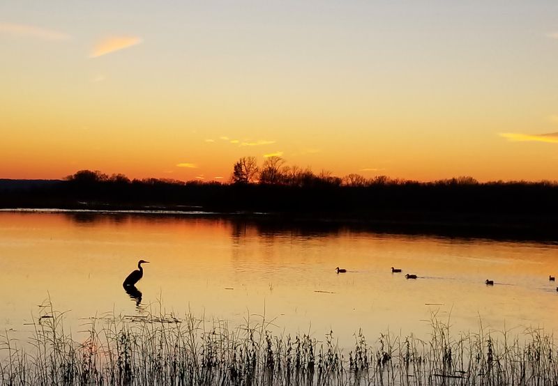 A River Bottom Refuge West Of Nashville