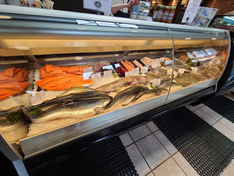 Fish Cases That Amaze