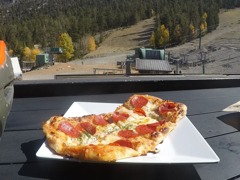 Bristlecone Bar