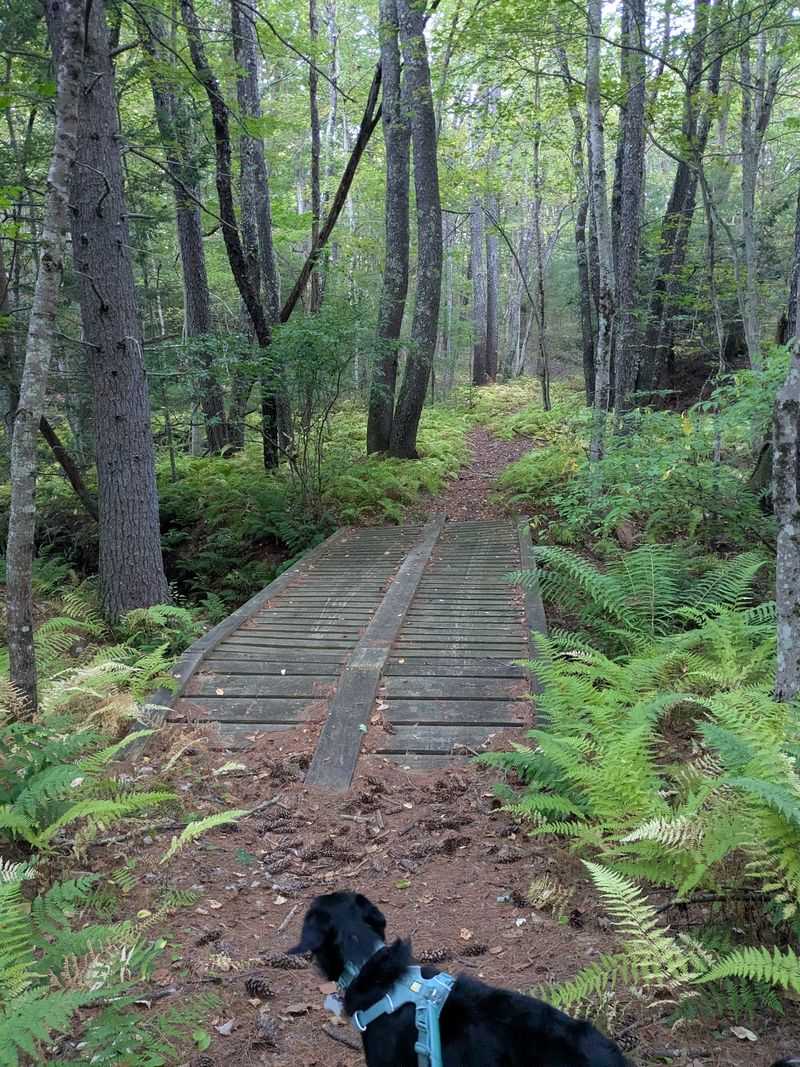Pearl Hill State Park