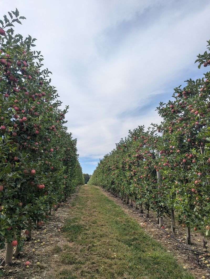 Smart Tips For A Smooth Farm Day