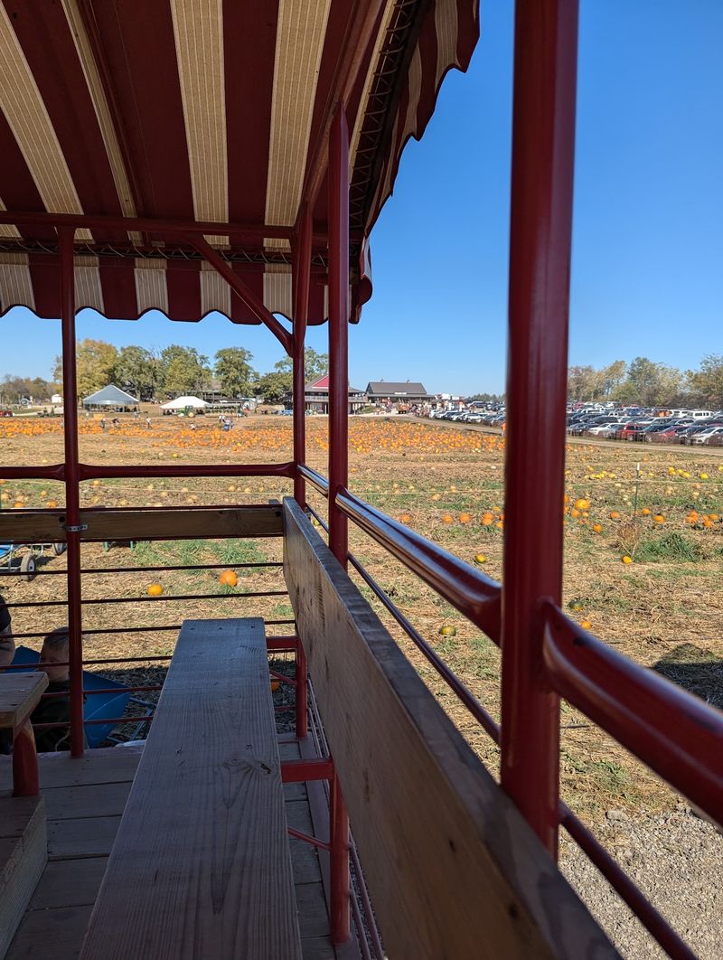Welcome To A Real Fall Playground