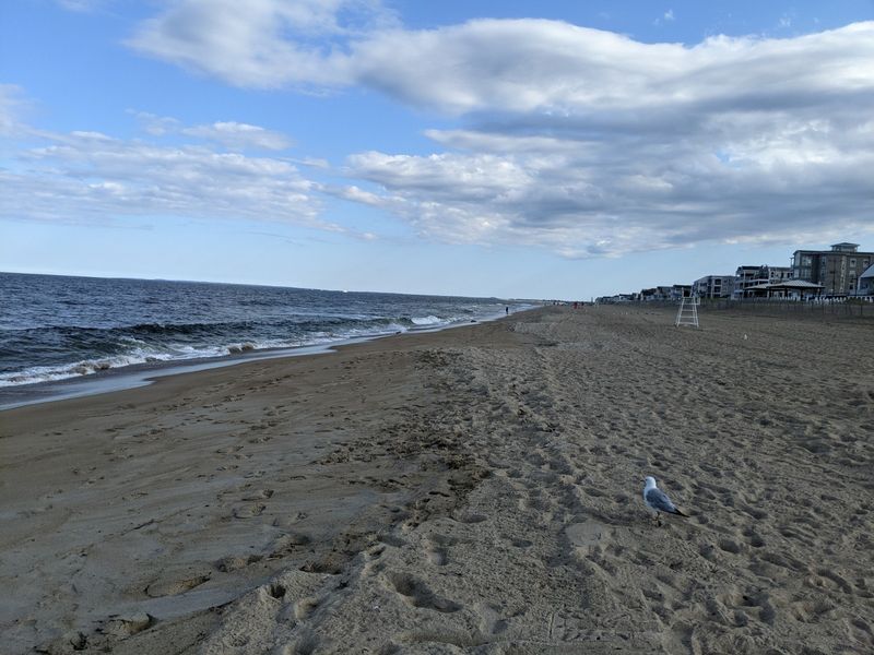 Nearly Five Miles Of Sand That Refuses To Feel Crowded