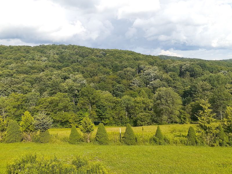 Coudersport