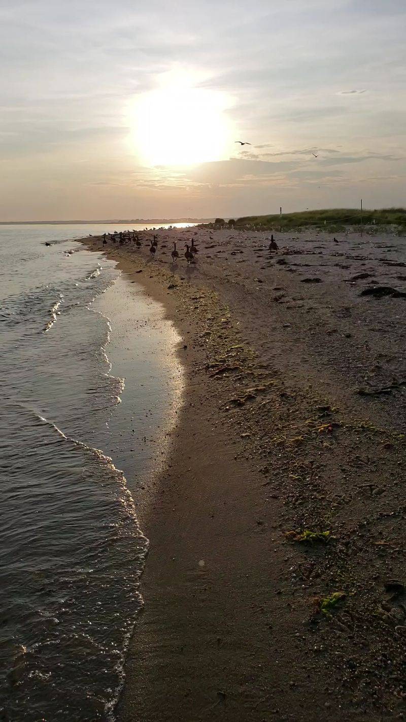 Sandy Point Island