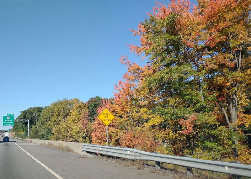 Grafton