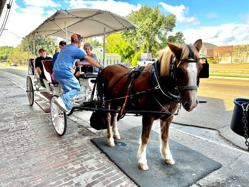 Hours, Parking, And Getting Aboard