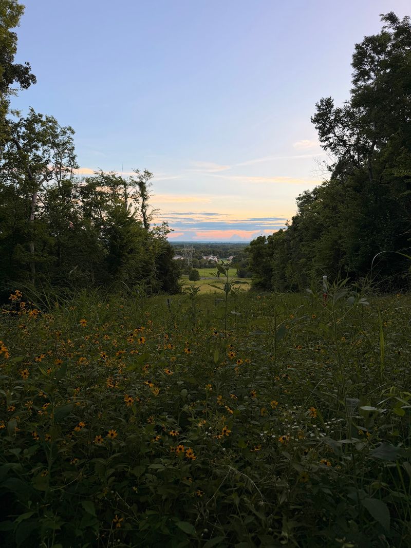 Choosing Your Season And Time Of Day