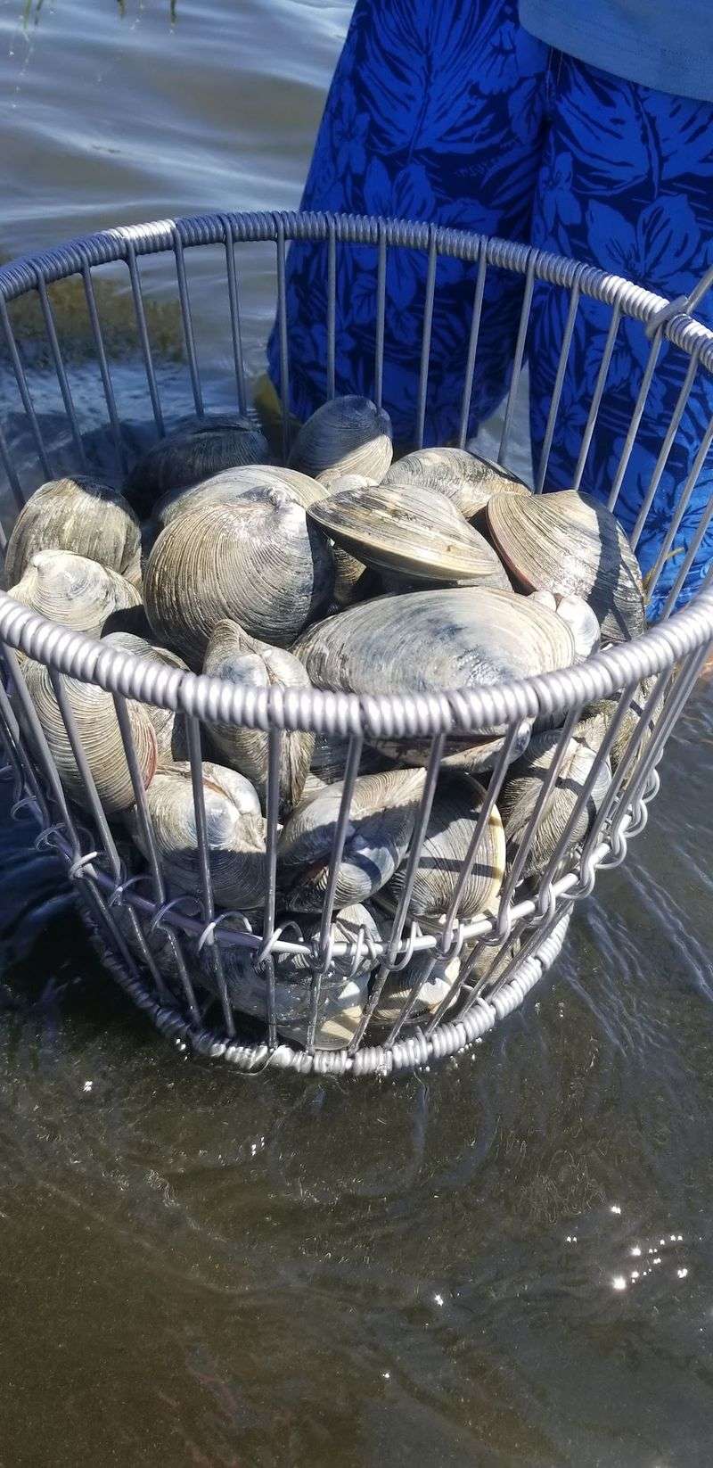 Trails, Clamming And Swimming Fill The Daylight Hours