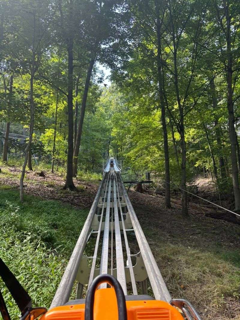 Alpine Coaster, Zip Line, And Other Hilltop Thrills