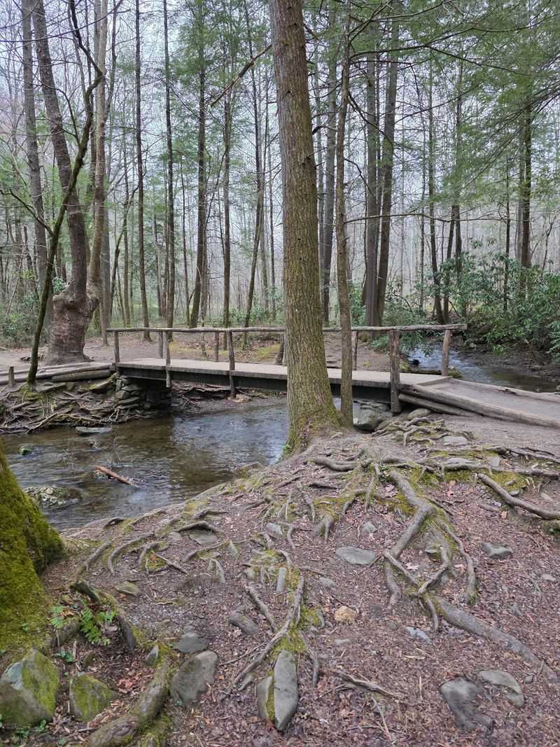 Sugarlands Visitor Center as Your Basecamp