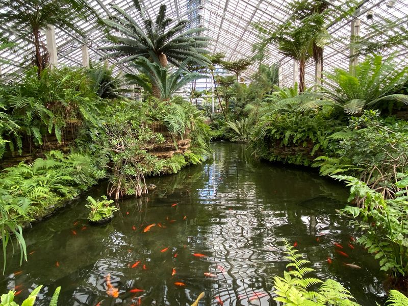 A Glass Jungle On Chicago's West Side