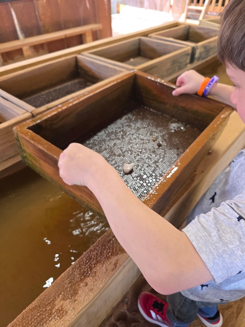 How The Bucket And Sifter Routine Works