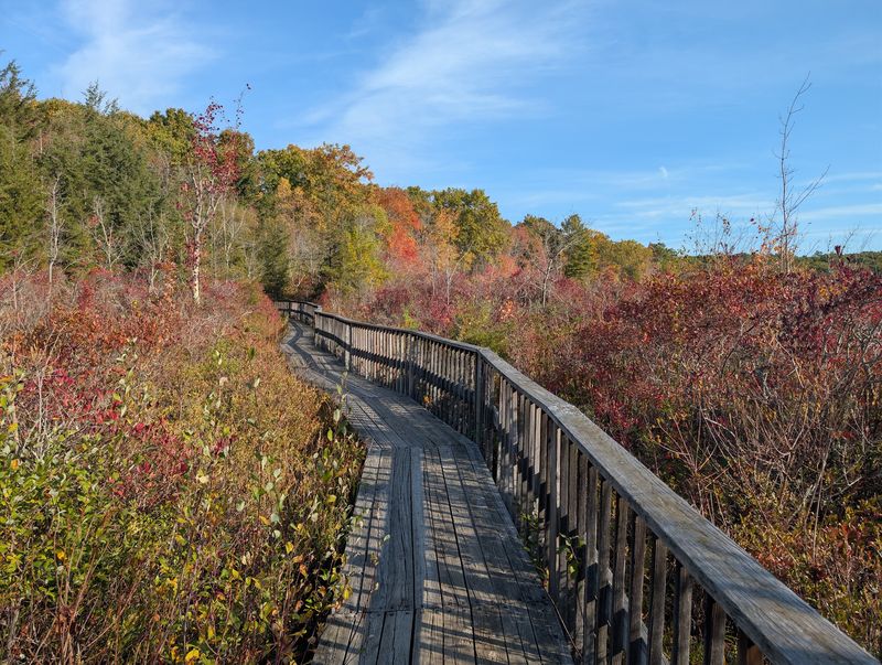 Trails For Every Mood