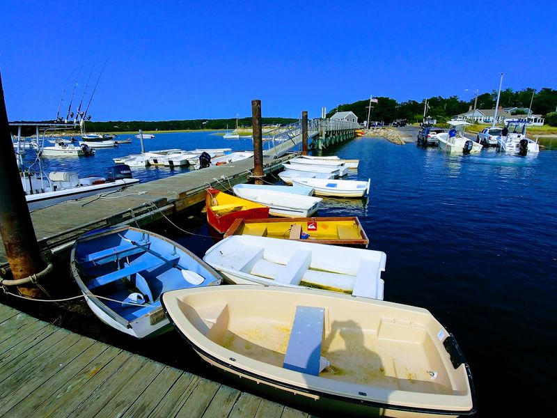 Paddle The Pamet Harbor Inlets