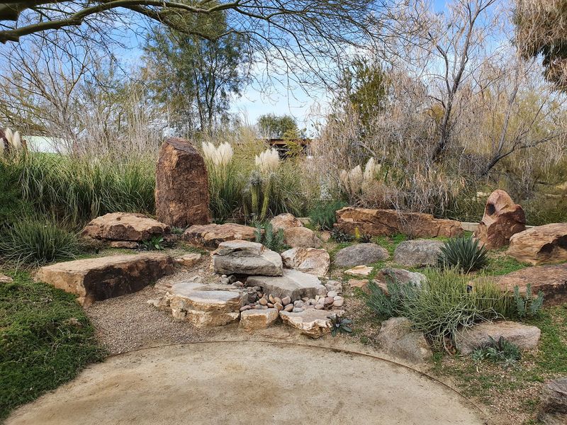 Trails That Wander Through A Desert Wetland
